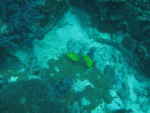 Similan Day 1 032.jpg